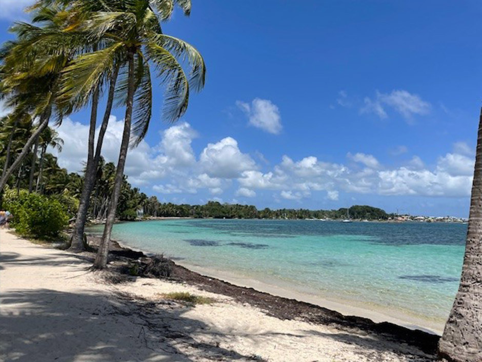 Jour 8 - Plage Sainte Anne